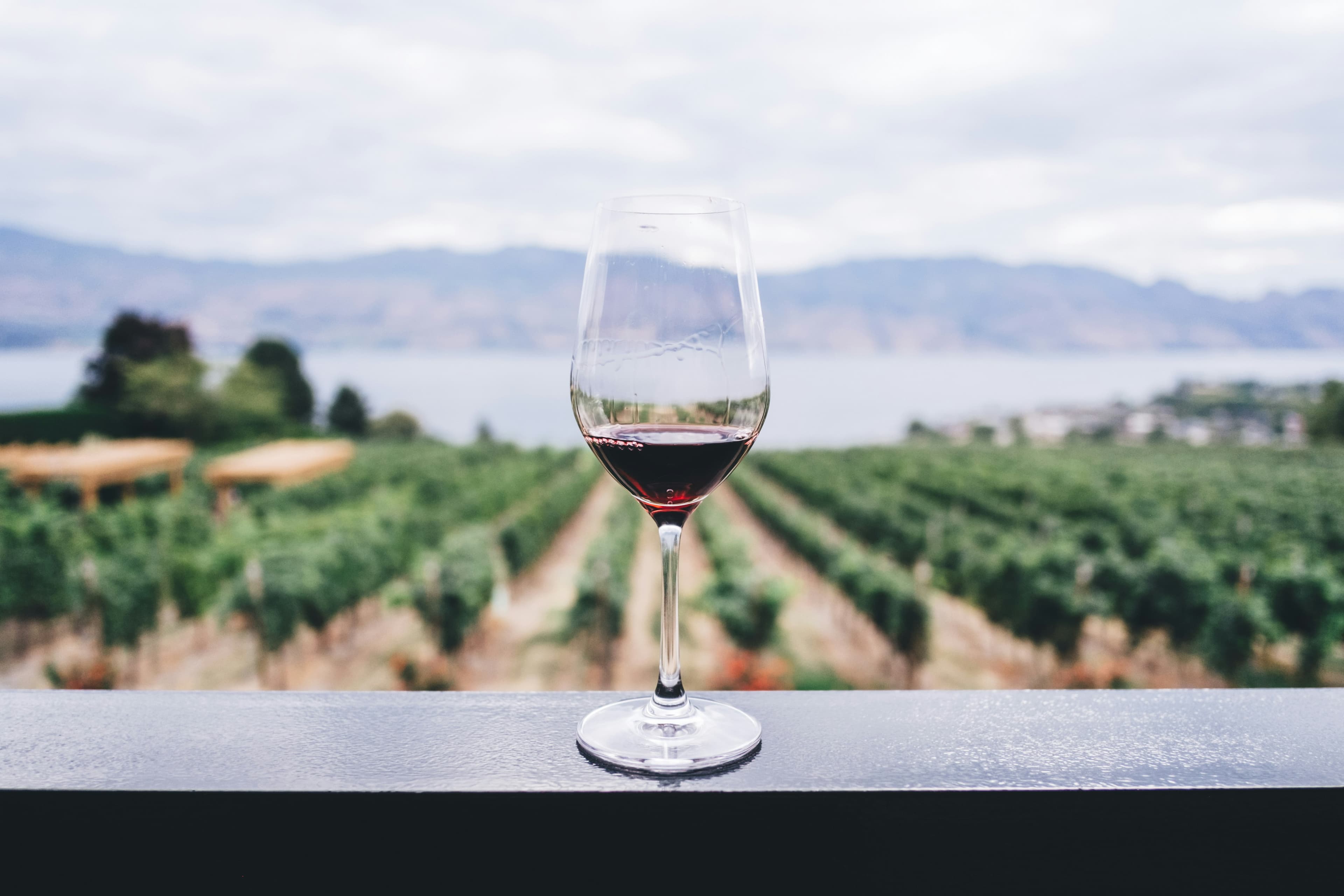 Bodegas &
Enoturismo